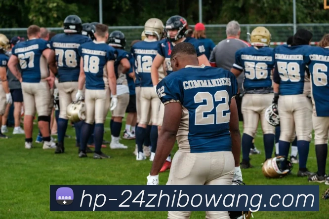 24直播网服务体系